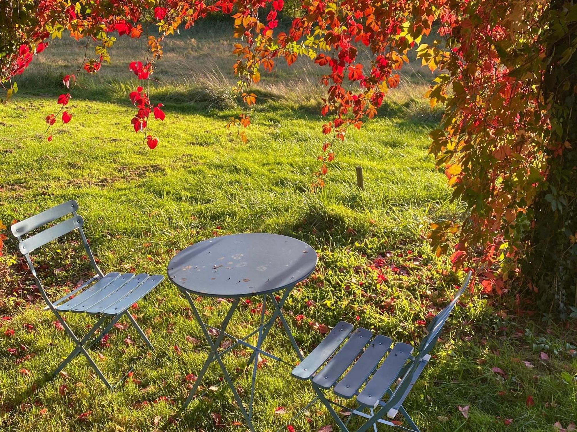 Gite Ecologique De Charme Avec Grand Jardin, Proche Des Alpes Mancelles, Ideal Famille Et Amis - Fr-1-410-132 Villa Moulins-le-Carbonnel Kültér fotó